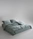 Постельное белье Limasso Stonewashed Standart 160x220 полуторное Natural Green, вареный хлопок  31481 фото 2