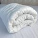 Ковдра дитяча ТЕП &laquo;BABY SNOW&raquo; microfiber 105х140см  1-01113 фото 1