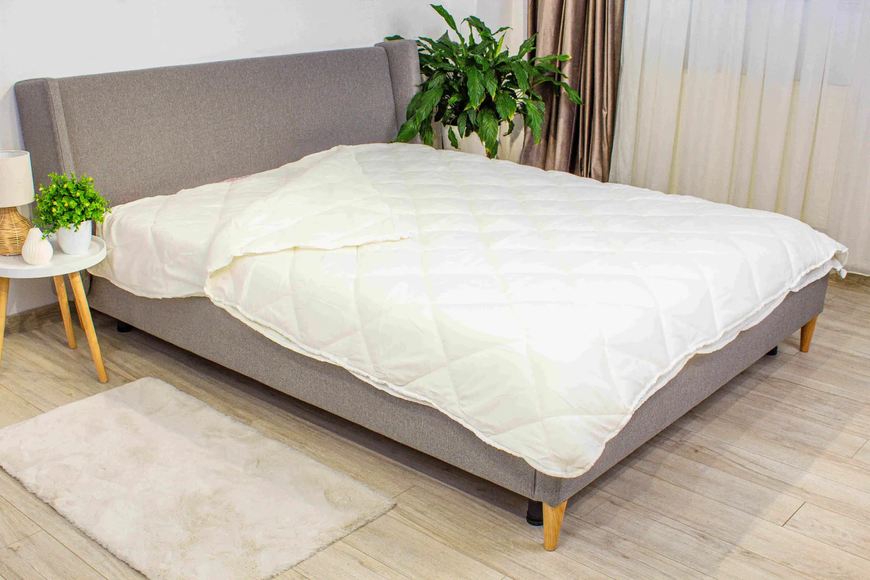 Одеяло "FOUR SEASON" 150*210 см (150г/250г/м2) (microfiber) 00200 фото